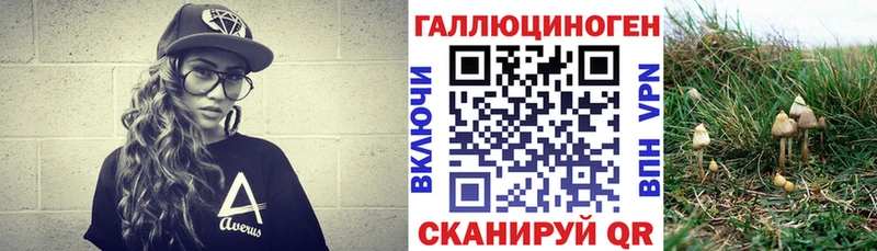 как найти закладки  Цивильск  Псилоцибиновые грибы Psilocybe 